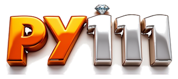 py111